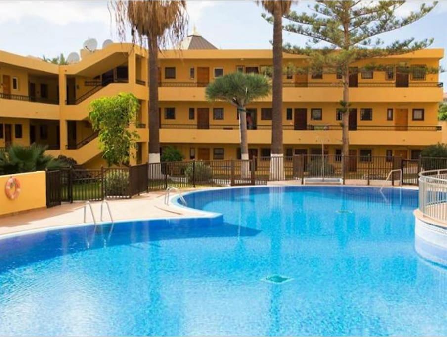 Studio In Torres Del Sol Griffin Near The Beach Apartment